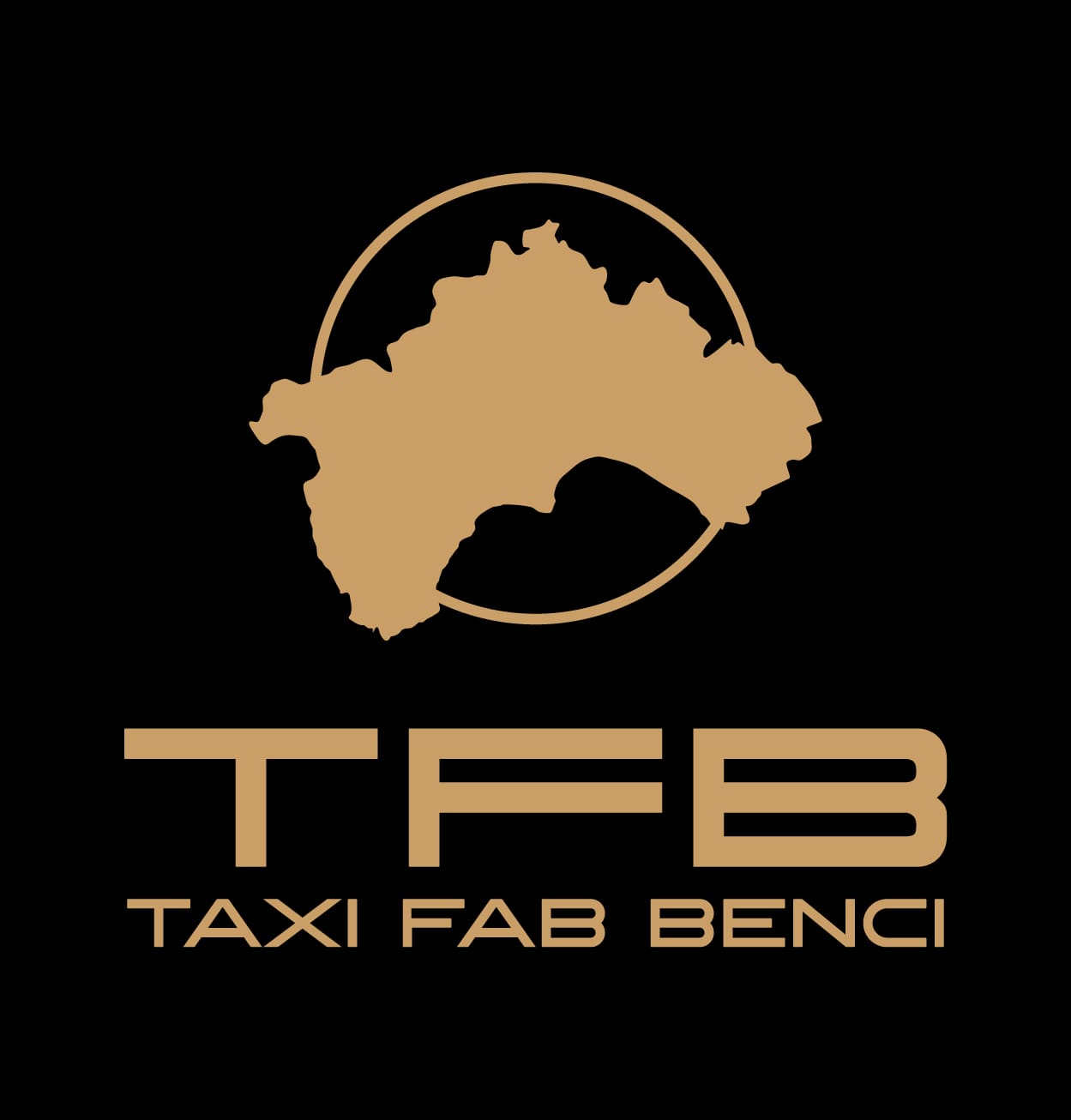 Logo1
